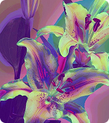flower painting